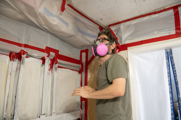 Stanwood, WA Mold Removal Company